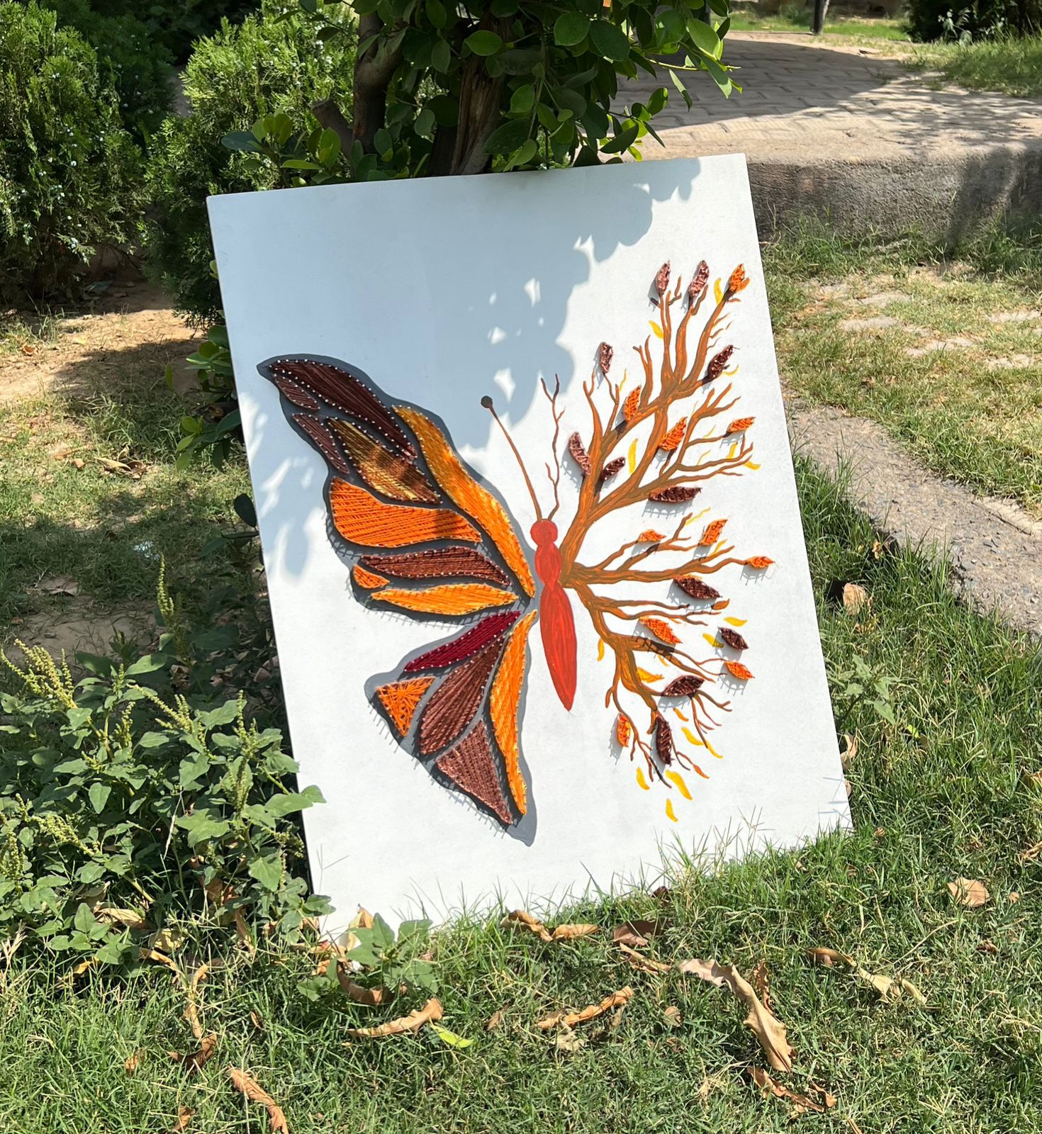The butterfly Tree